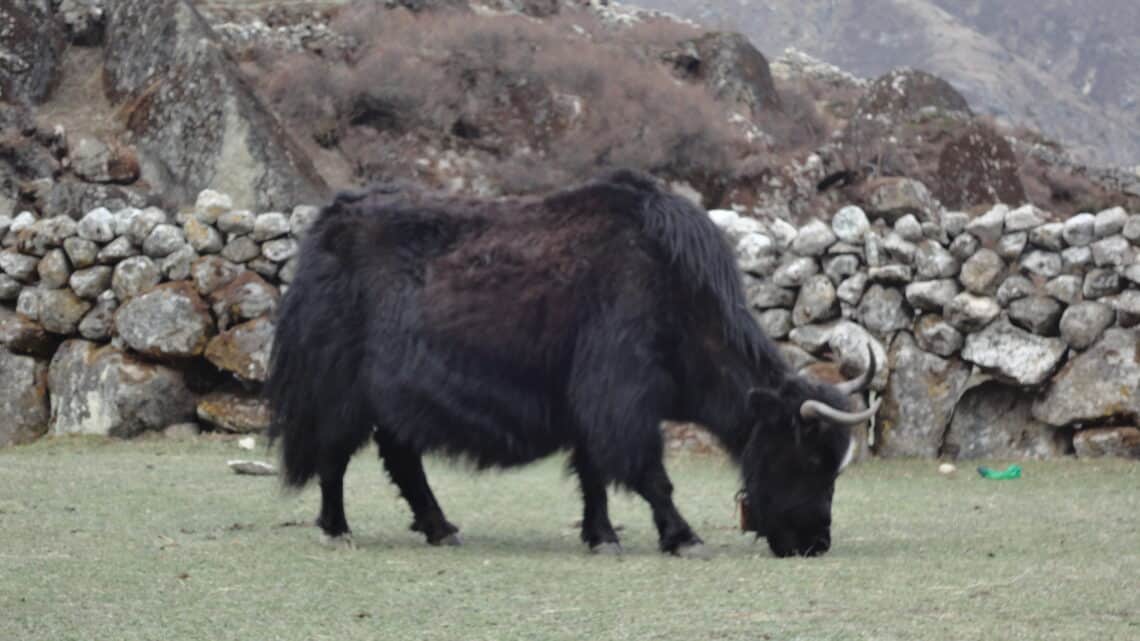 Everest Base Camp Packing Guide