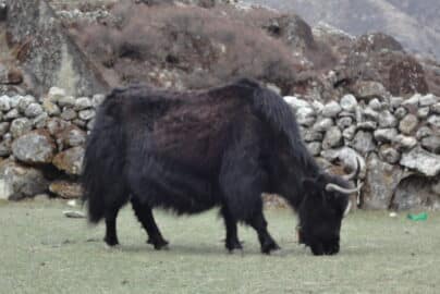 Everest Base Camp Packing Guide