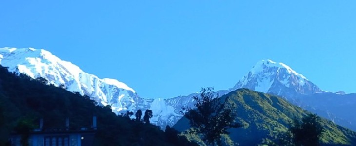 Rapid Annapurna Base Camp Trek-7 Days