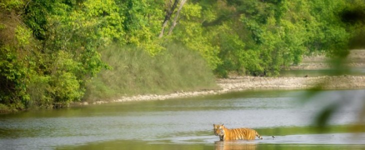 Bardiya National Park Tour-4 Days