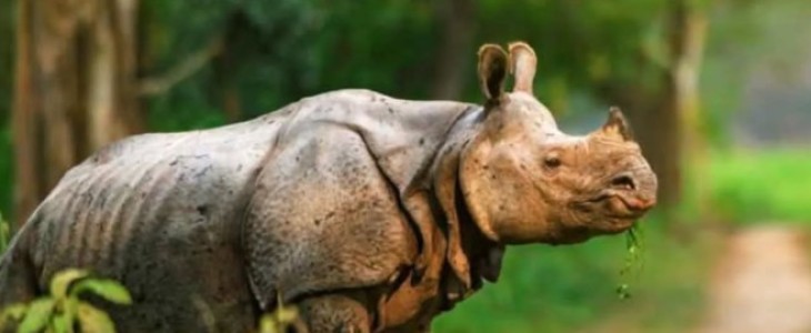 Chitwan National Park Tour-3 Days