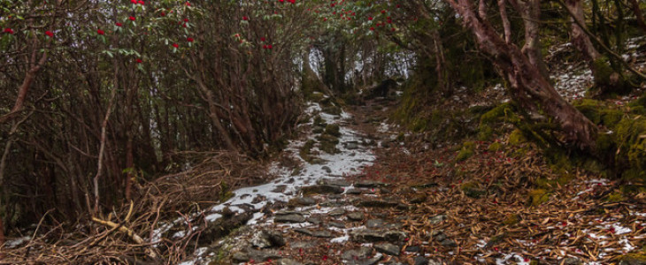 Tamang Heritage Trek-10 Days