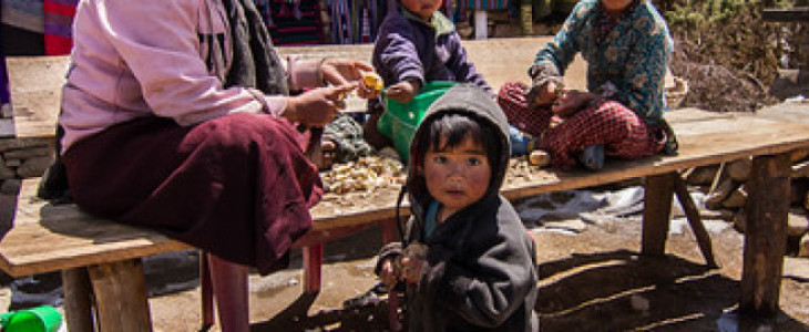 Langtang Valley with Gosainkunda Lake Trek-13 Days